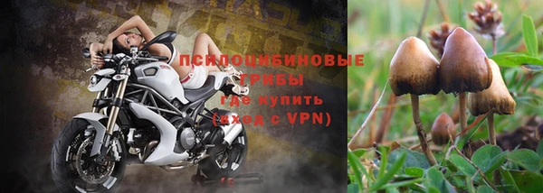кокс Арсеньев