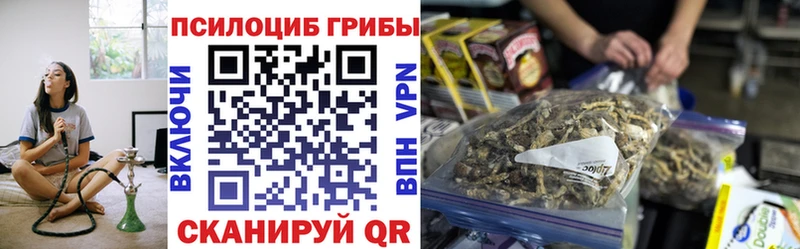 ОМГ ОМГ зеркало  цена наркотик  Буй  Галлюциногенные грибы Magic Shrooms 