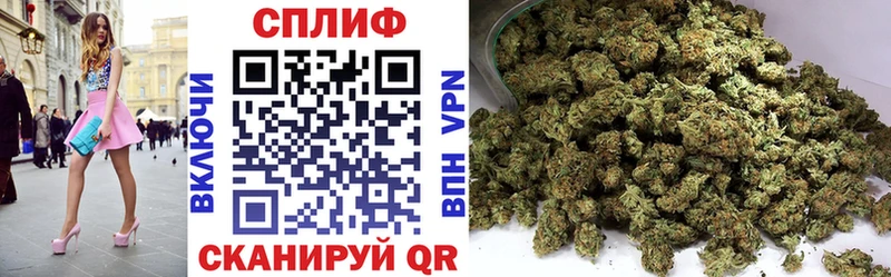 наркошоп  сайты даркнета формула  Марихуана сатива  Буй 